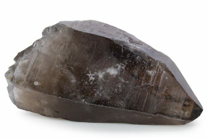 Natural, Dark Smoky Quartz Crystal - Colorado #356711
